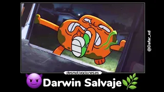 Momentos xd de gumbaII & darwin