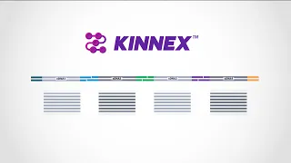 Kinnex explained—how concatenating smaller amplicons increases throughput for PacBio HiFi sequencing