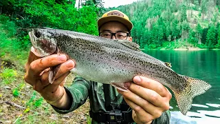 Solo Mountain Trout Mission (Catch & Cook)