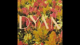 Dyan - What Fiction Is For