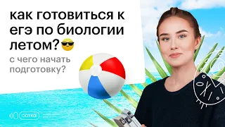 С чего начать подготовку к ЕГЭ?| Биология ЕГЭ 2024 | Летняя подготовка | Сотка