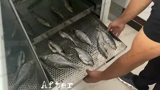 Fish dryer machine/Fish dehydrator/Fish drying