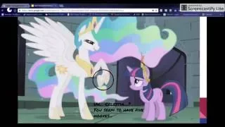 MLP Animation Errors