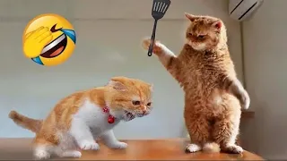 You Laugh You Lose 🤣 Funny Cats and Dogs Videos 2023 🥰 Part 5