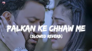 Palkan ke chhaw me 🦋🥀✨|| slowed reverb bhojpuri lofi song || #slowedandreverb #lofi @bikku155