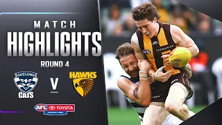 Cats destroy Hawks to record first win of 2023