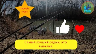 Самый лучший отдых на рыбалке, а хитрый усач наблюдает