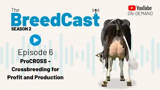 The BreedCast: S2 Episode 6 - ProCROSS crossbreeding