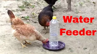 Easy Homemade Water Feeder for Chicken, Birds | Diy Plastic Bottle: Feeder Made By Bottle at home, 1