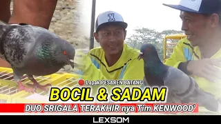 🔴 Makin Ganass 😱‼️ "SADAM & BOCIL" DUO SRIGALA TERAKHIR nya tim KENWOOD' di Lapak PESAREN BATANG