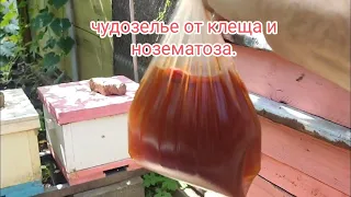 Чудозелье от клеща варроа и нозематоза.