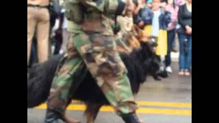 DESFILE MILITAR EN ASUNCION PARAGUAY.