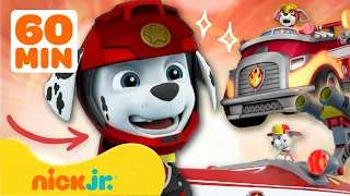 Patrulha Canina | As Maiores Missões de Marshall de Todos os Tempos! | 1 Hora | Nick Jr. Português