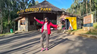 Ethiopia Travel Vlog | Entoto Park Full Tour