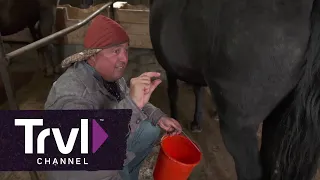 Andrew Zimmern milks a horse in Kazakhstan | Bizarre Foods with Andrew Zimmern | Travel Channel