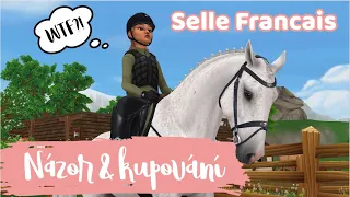 PŘIŠLA JSEM O VŠECHNY KONĚ?!😩|| Nakupovačka Selle Francais & vybavení🐴|| Star Stable online česky