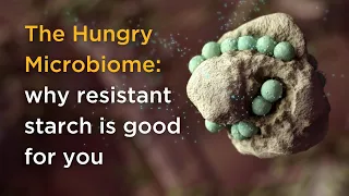 The Hungry Microbiome: why resistant starch is good for you