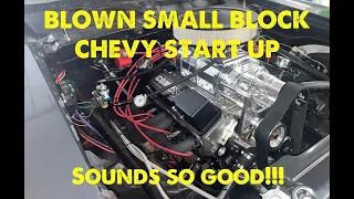 Supercharged Small Block Chevy Start Up (So LOUD!!)