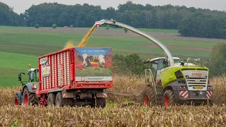 Maize harvest 2022 with J-Reiff.lu / Claas Jaguar 980 / Fendt / Ardennes