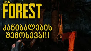 პირველი ბოსი და კანიბალების შემოსევა!!! - The Forest #4