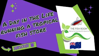 A day on the life of running a tropical fish store 121