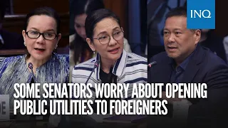 Some senators worry about opening public utilities to foreigners