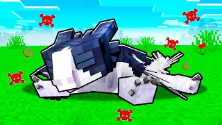 Our Baby Dragon is Sick! - Minecraft Dragons