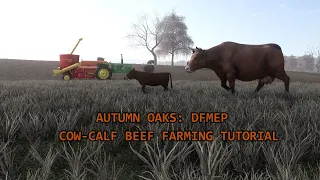 Autumn Oaks DFMEP: Cow-Calf Beef Farming Tutorial