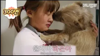 A dog that wipes a girl's tears.. (touching story)