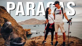BEST Things To Do in Paracas, Peru | Islas Ballestas and Paracas National Reserve