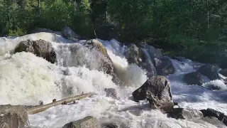 Relaxing Noise of the Mountain River-10 hours of Deep Sleep