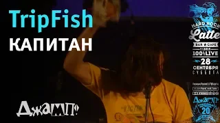 TripFish - Капитан Live