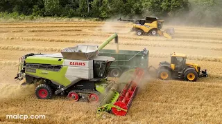 4Kᵁᴴᴰ Harvest 2023: Claas Lexion 7700TT & NH CR9.90 Revelation combines cutting barley in Yoxford.