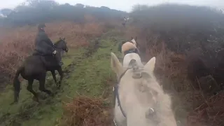 Hunting with the Western Trail Hunt March 2024 Madron