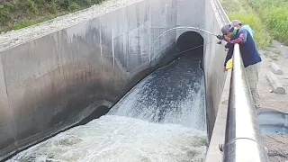 Catching Striper, wiper and Buffalo Fishing on Top of The Spillway. EP 145