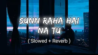 Sunn Raha Hai Na Tu Male Version | Aashiqui 2 | Slowed+reverb | Lofi Song | Aditya R. K.,Shraddha K.