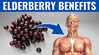 ELDERBERRY BENEFITS  - 13 Amazing Health Benefits of Elderberry❗️