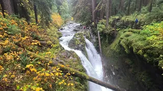 Washington's National Parks || Olympic NP