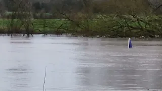 Aftermath  of the Severn Bore At Minsterworth March 12 ,2024(1)