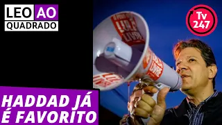 Leo ao quadrado: Haddad já é favorito