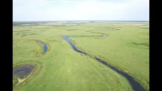 Река ОША "Рыбалка-Грибалка"Крутинский район