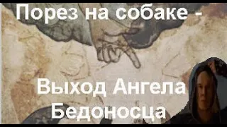 Порез на собаке  - Выход Ангела Бедоносца