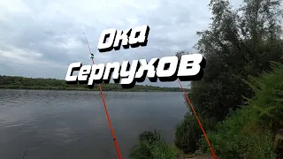 Рыбалка на Оке в Серпухове