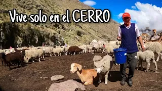 "JONSHITO" vive en el CERRO haciendo QUESITOS de CABRA🐐 y resguardado por sus 10 PERROS 🐕