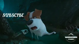 Secret life of pets funny scene in HINDI