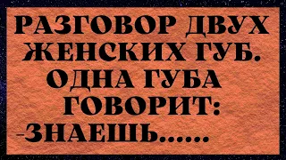 Трусики Жены и 40 минут Кекса!! Сборник Анекдотов,Юмор,Смех!