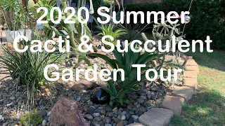 15: Cactus & Succulent Garden Tour! | Summer 2020