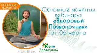 Основные моменты вебинара "Здоровый позвоночник" от 06 марта // Александр Волосков