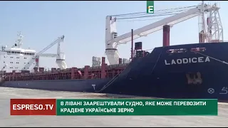 В Лівані заарештували судно, яке може перевозити крадене українське зерно