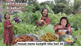 petik sayuran buat menu masak kita hari ini - terong oyong timun caisim